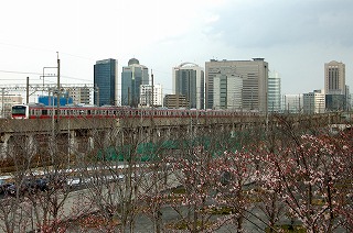 20100403.jpg