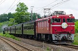 ED75