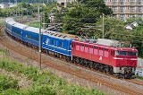 EF81