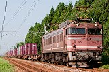 EF81