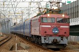 EF81